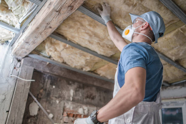 Best Insulation Maintenance and Repair in Trenton, IL