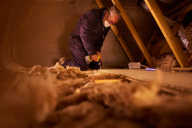 Best Residential Insulation in Trenton, IL